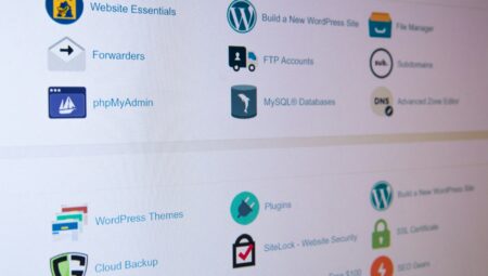 cPanel Nasıl Kullanılır?