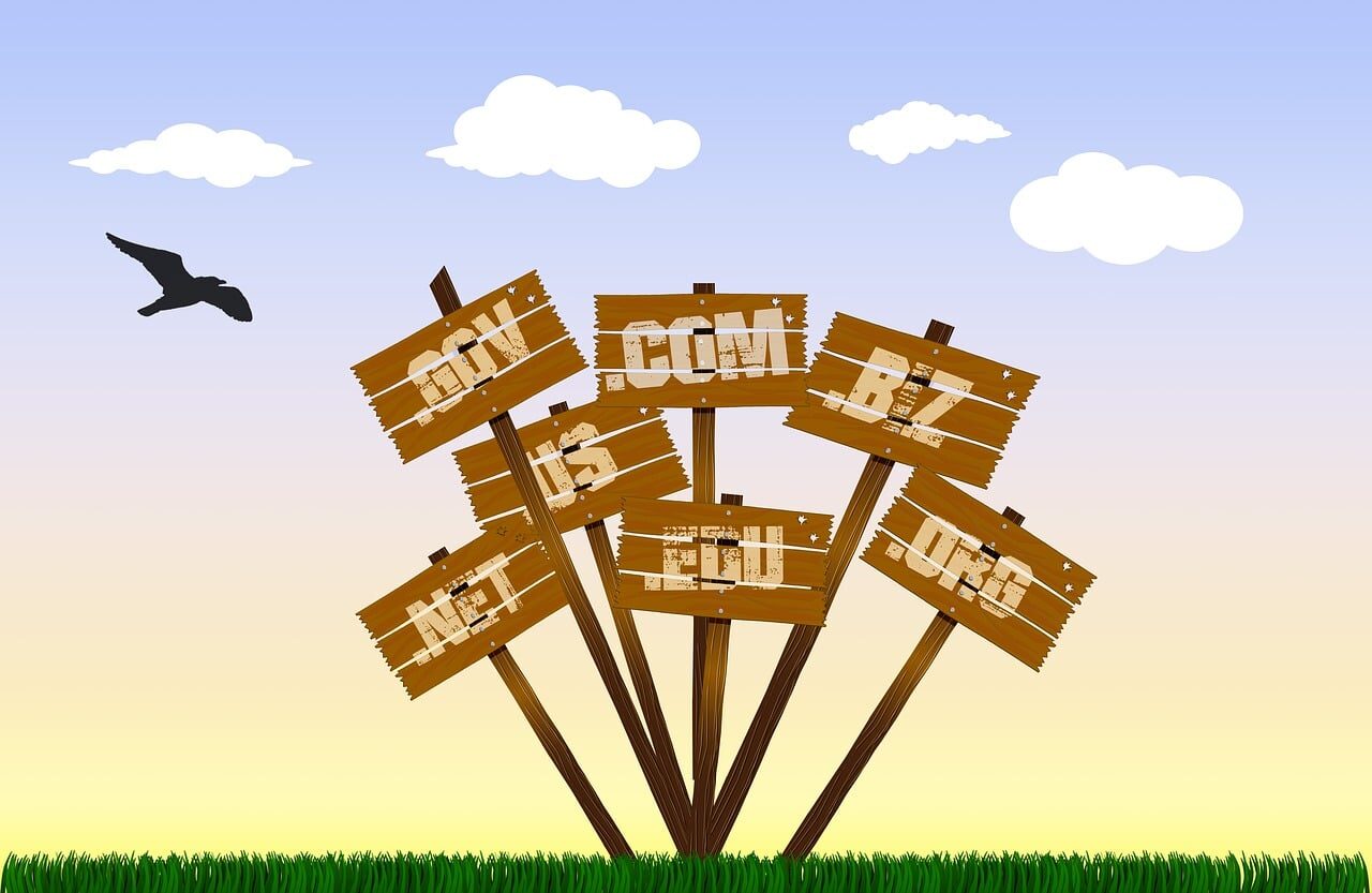domain names, domain extension, domain, extension, name, web, internet, www, website, technology, com, dot, hosting, address, global, network, communication, symbol, connection, information, business, online, url, net, http, biz, org, gov, us, domain names, domain, domain, domain, domain, domain, url, url, url